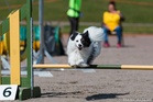 Tervetuloa WUOKSen möllikisoihin!